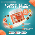 Probióticos - 300g