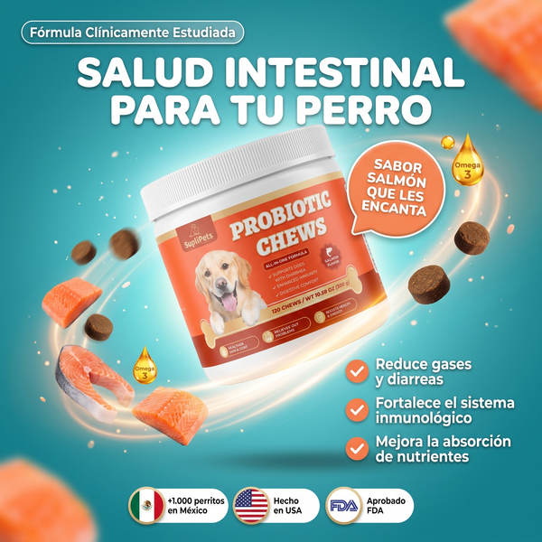 Probióticos - 300g