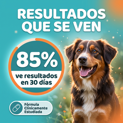 Probióticos - 300g